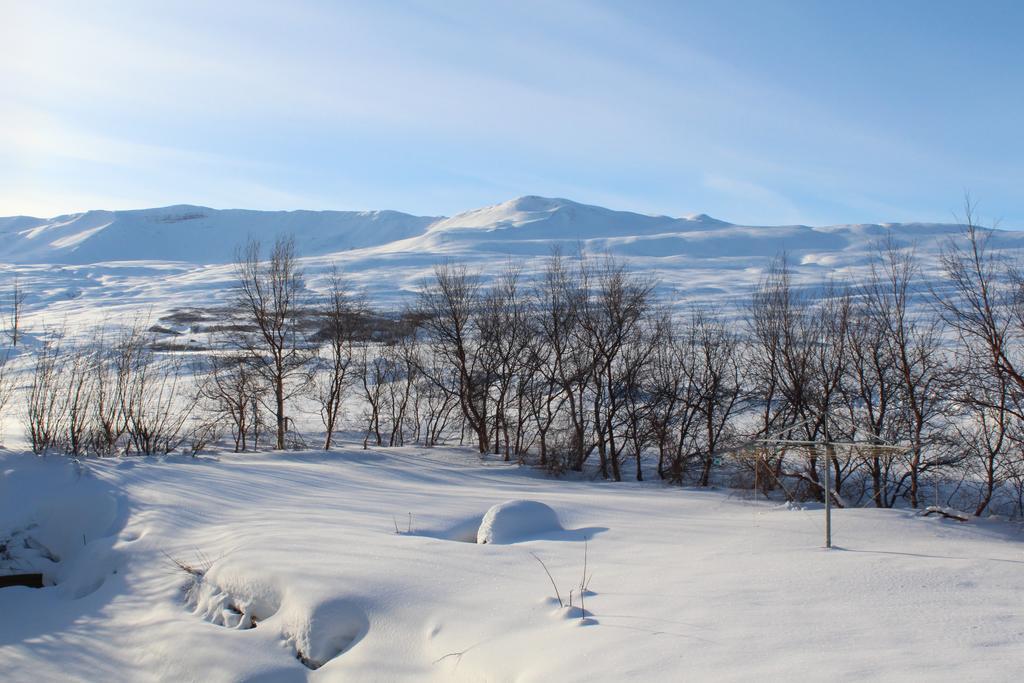 Lonsa Guesthouse Акурейри Экстерьер фото